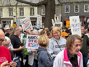 IMG_9265