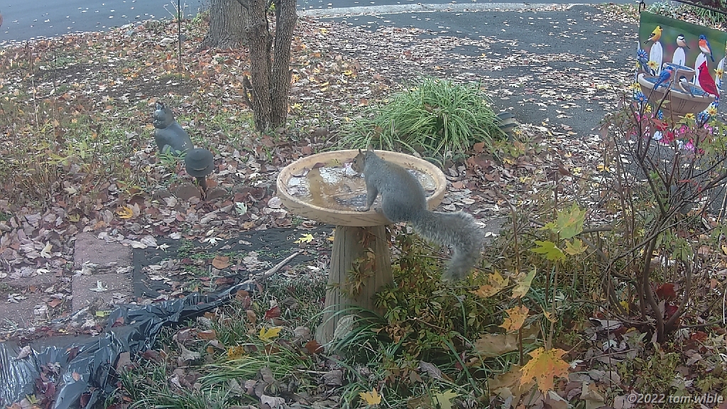 DSCF0424