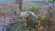 DSCF0424