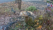 DSCF0425