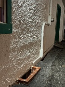 IMG_6653