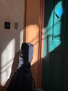 IMG_1763