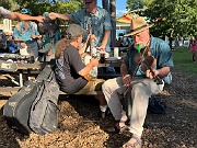 IMG_1784